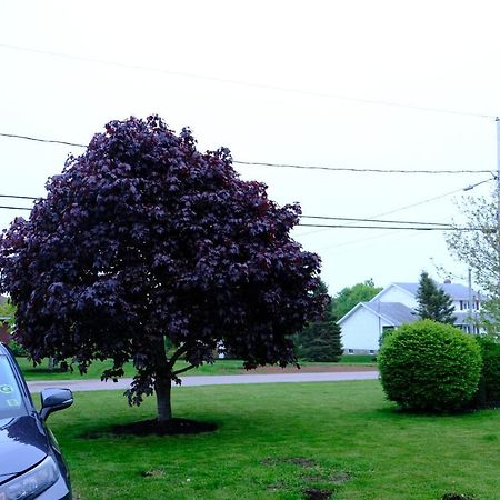 Katie Entire Basement 3 Bedrooms Charlottetown Exterior photo